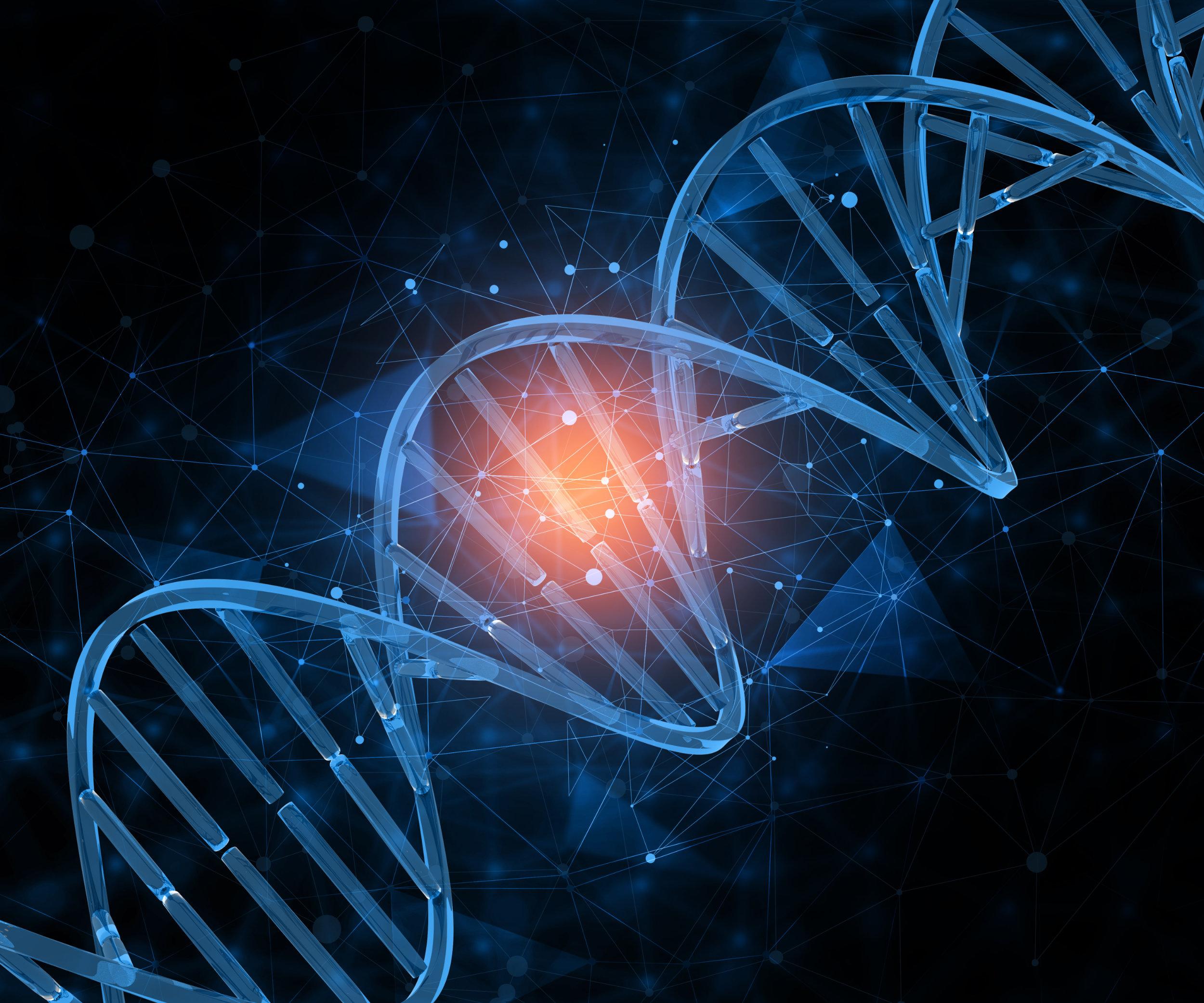 Fondo bioquímico